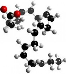EPA (Acid eicosapentaenoic)